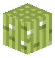 JUST_BAMBOO12