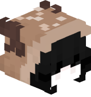 Feykq