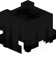 the_black_king12