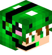 FproMCjava