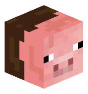 1111111pig