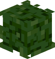 lazer_hat