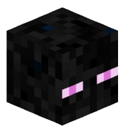 stefxnns