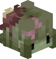 chobi2007