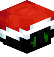 Tortu212
