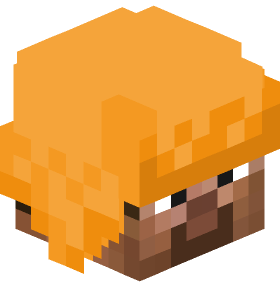 3Texas Minecraft skin