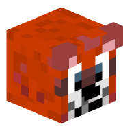 bearoo_