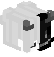 Oxokax