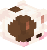 cuteSharkBoy67