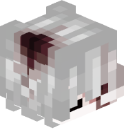 v5s_msmc_ih0
