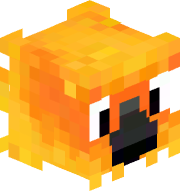 Daniel_Glozik123