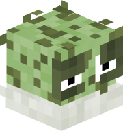 Meischter_oogway