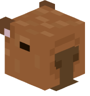 Rasherio