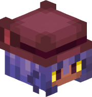 Nikoisaperson