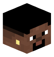 XD_V