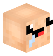 Agent_Minecraft2