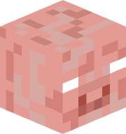 porikmaster