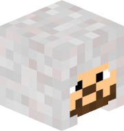 EnderKnight_X
