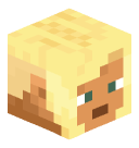namemc 3D head