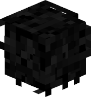I_Q06