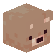 Kaxbhy
