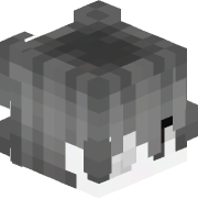 r21x