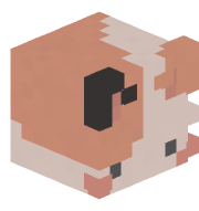 Abubel