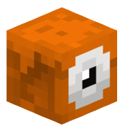 smellysock5
