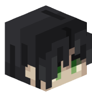 audsis
