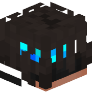itsRAcierWool