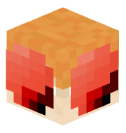 HideFace3103