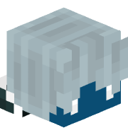 Tortuigeta