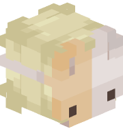 RealIrisBuilder