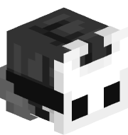 skyrokcorp24
