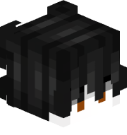 XENONNN_1