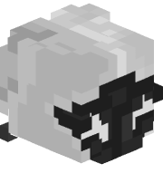 wbq_
