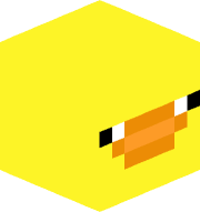 kachna_13