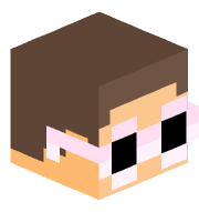 vaiiss