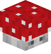 udum_08