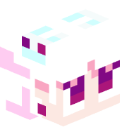 .19b84t_org