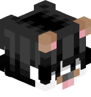 wrssx_