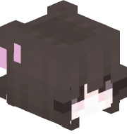 Riwc