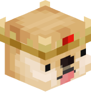 Sarkoziggs