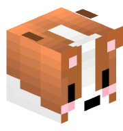 Petter_Elias