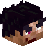 EvDoc