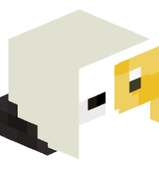 Xevfq