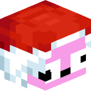 Tomik013