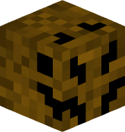 Cellarspider_7