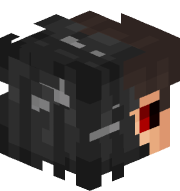 seikls_669