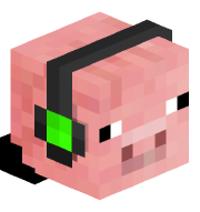 spacerocketpig